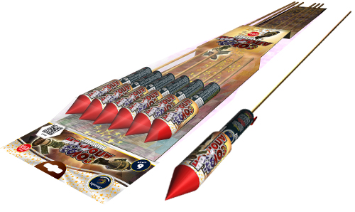  Ракеты Союз-Аполлон  в Сосновом Боре